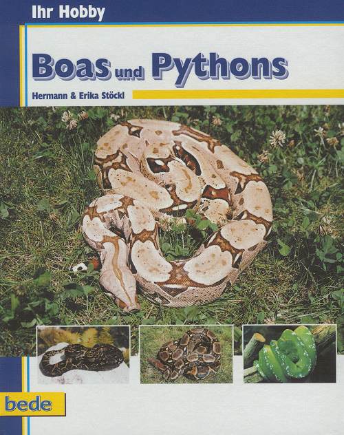 Boa constrictor - Wikipedia